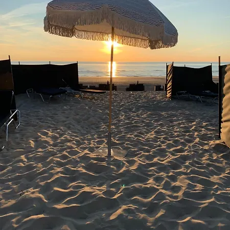 Kahakai House - Unique Outdoor Kitchen - Next To Local And 15 Min. The From Noordwijkerhout