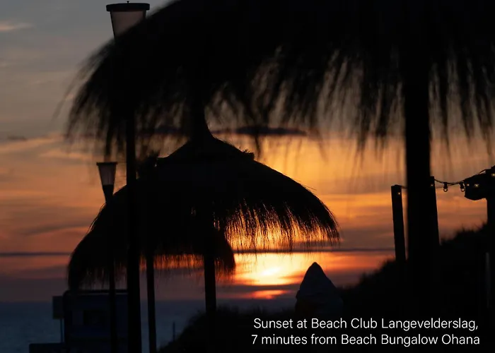 Kahakai House - Unique Outdoor Kitchen - Next To Local And 15 Min. The From Casa de Férias