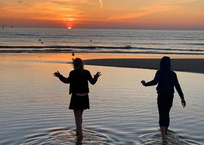 Kahakai House - Unique Outdoor Kitchen - Next To Local And 15 Min. The From